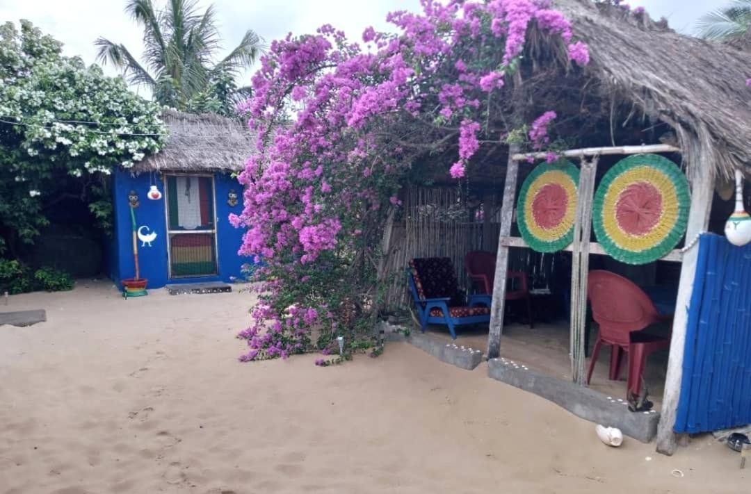 A&Y Wild Camp Ghana Keta Exteriör bild