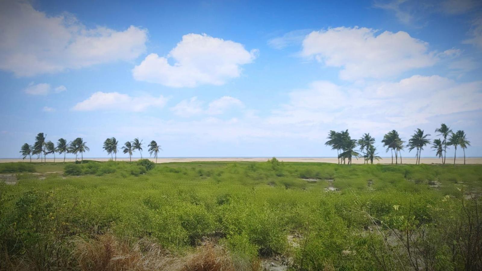 A&Y Wild Camp Ghana Keta Exteriör bild