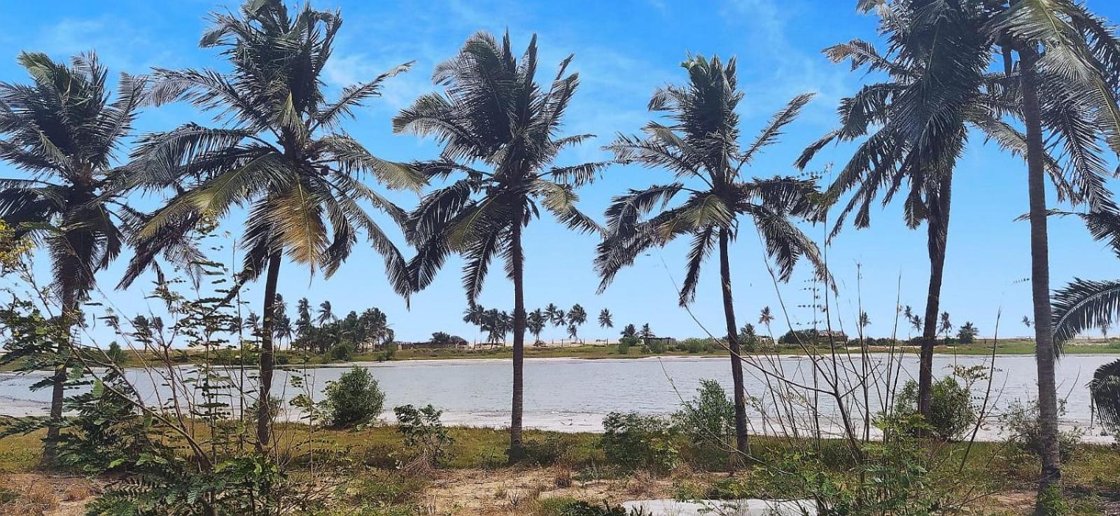 A&Y Wild Camp Ghana Keta Exteriör bild