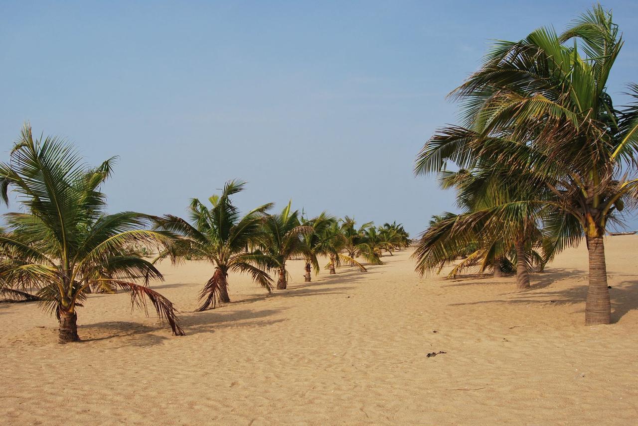 A&Y Wild Camp Ghana Keta Exteriör bild