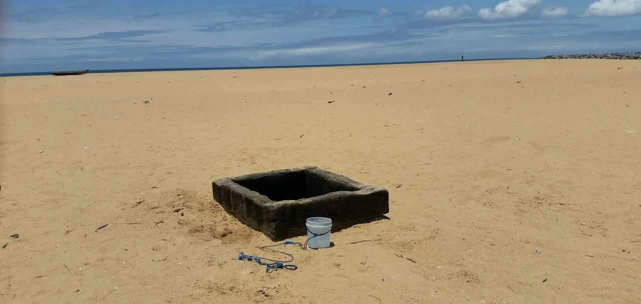 A&Y Wild Camp Ghana Keta Exteriör bild